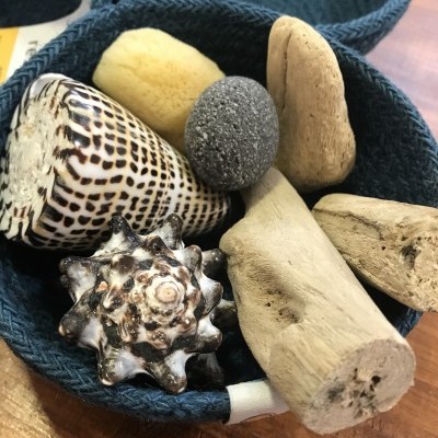 Conjunto Sensorial da Natureza | Bosque Feliz