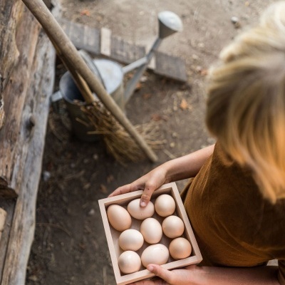 Caixa de Organização | Grapat