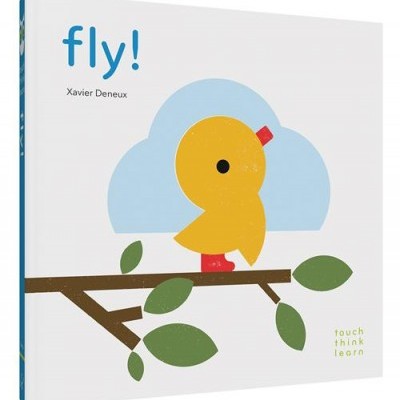 Fly! |TouchThinkLearn