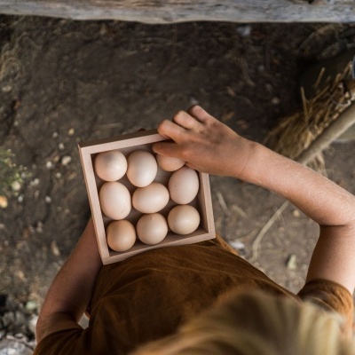 Caixa de Organização | Grapat
