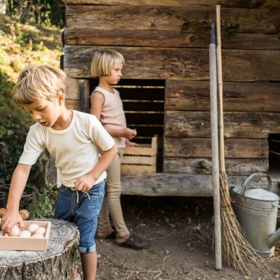 Caixa de Organização | Grapat