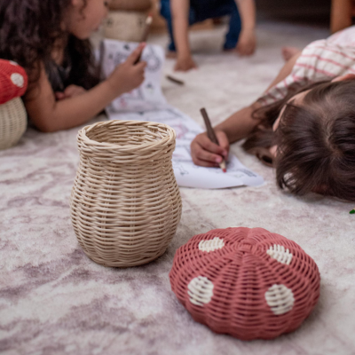 Cesto Cogumelo Porcini