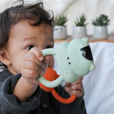 Kimo, O Hipopótamo | Lanco