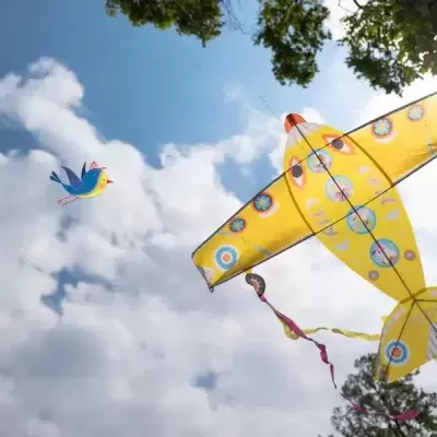 Avião Papagaio | Papagaio Gigante