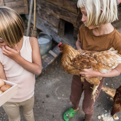 Caixa de Organização | Grapat