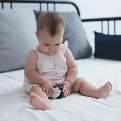 Pinguim sempre em pé | Plan Toys