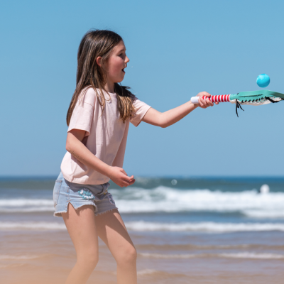 Lacrosse | BS Toys