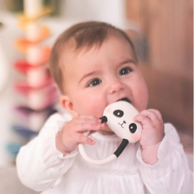 Kori, O Panda | Lanco