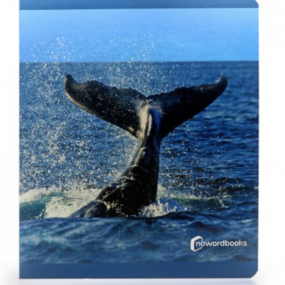 Os Animais Marinhos | Grande