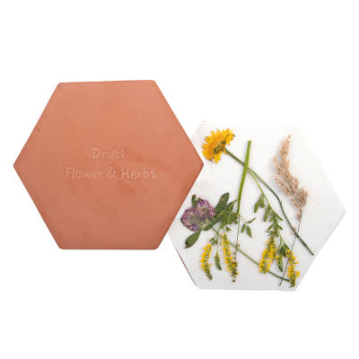 Prensa de Flor e Folhas Terracota  | Microondas e Forno