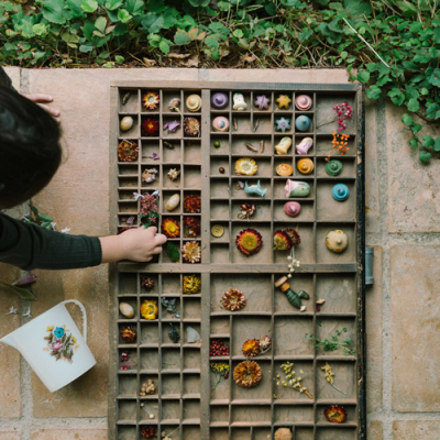 Flower Meadow | Grapat