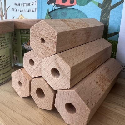 Casa de Abelha | Conjunto Ou Individual