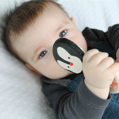 Nui, O Pinguim | Lanco