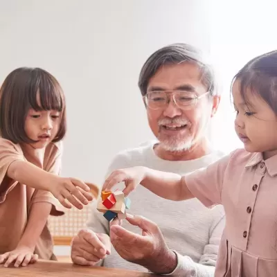 Puzzle Retangular | Plan Toys