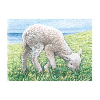 Puzzle de Cubos Animais da Quinta - Goki