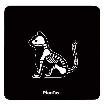 Conjunto de Veterinário | Plan Toys