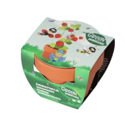 Plantar Morangos | Green Warriors