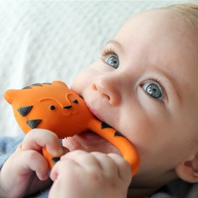 Nalu, O Tigre | Lanco