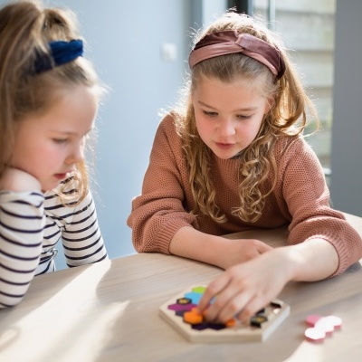 Jogo O Puzzle da Colmeia | BSToys