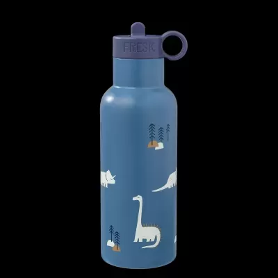 Garrafa Térmica Dino 500ml & Acessórios | Fresk