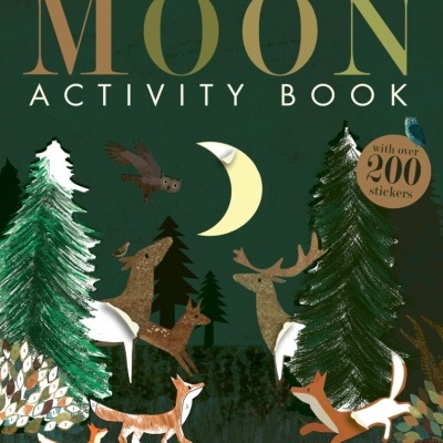Moon Activity Book