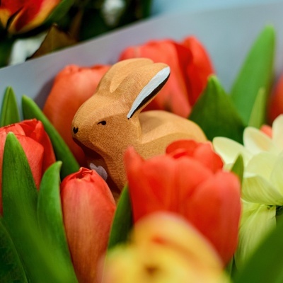 Coelho cauteloso | Bumbu Toys