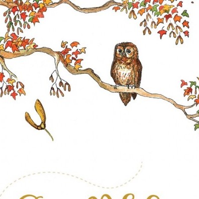 Começa Numa Semente