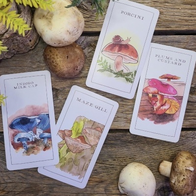 Mushroom Spotter's Flash Cards