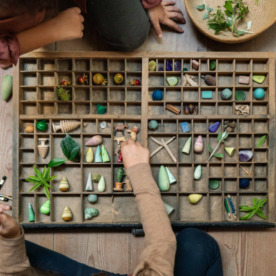 Forest Tree | Grapat