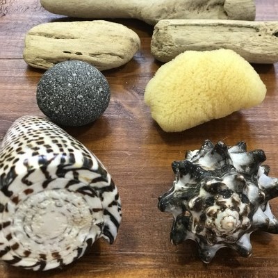 Conjunto Sensorial da Natureza | Bosque Feliz