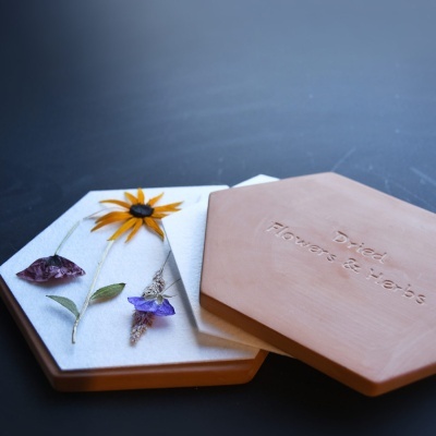 Prensa de Flor e Folhas Terracota  | Microondas e Forno