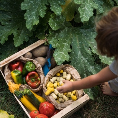 Tulipas Peças Soltas | Grapat