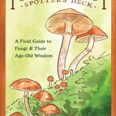 Mushroom Spotter's Flash Cards