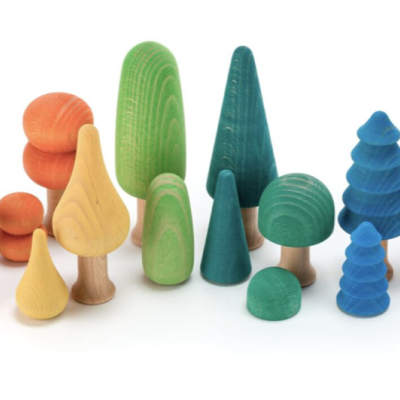 Bosque Arco-íris | Ocamora