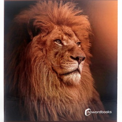 Animais de Savana | Grande