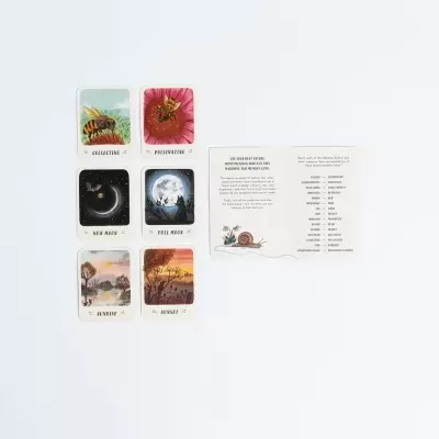 Slow Down…With This Before And After Nature Game