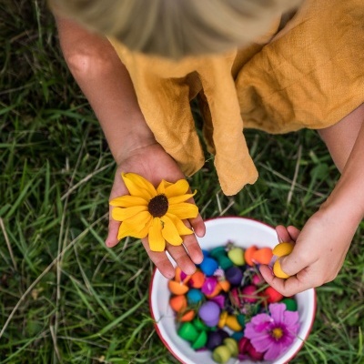 Cogumelos Coloridos Arco-Íris Peças Soltas | Grapat