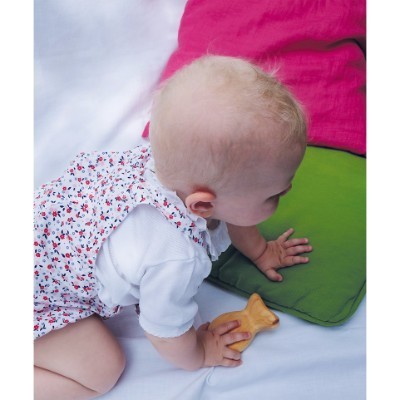 Peixe Roca | Grimm's