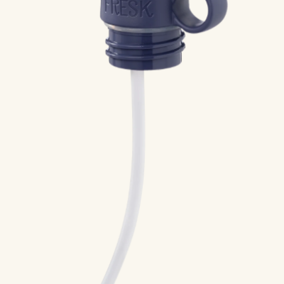 Garrafa Térmica Dinossauro 350ml | Fresk