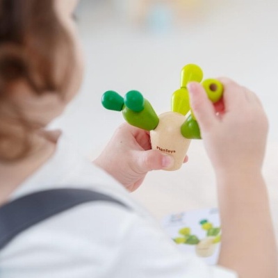 Cacto de Equilíbrio | Plan Toys