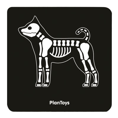 Conjunto de Veterinário | Plan Toys