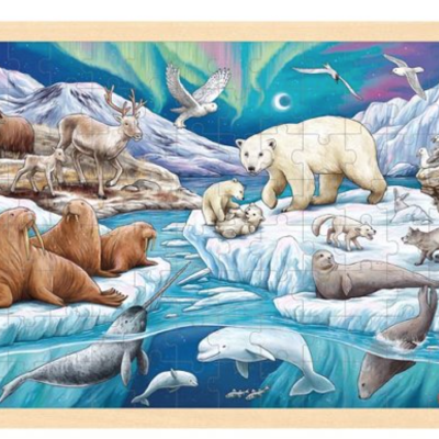 Puzzle de Peças GRANDE | Noite Polar