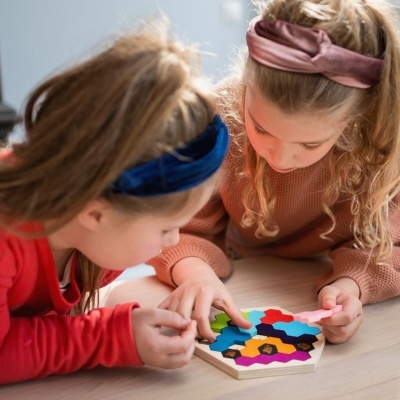 Jogo O Puzzle da Colmeia | BSToys