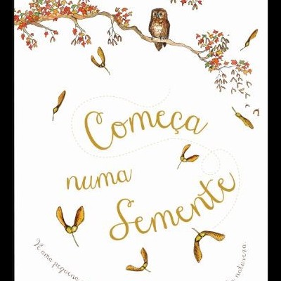 Começa Numa Semente