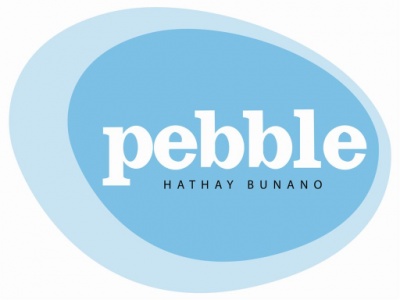 Pebble