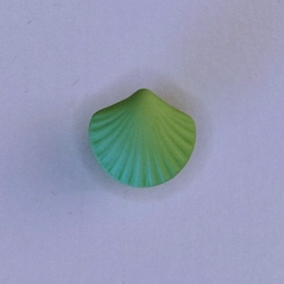 Concha decorativa verde com textura estriada sobre fundo branco