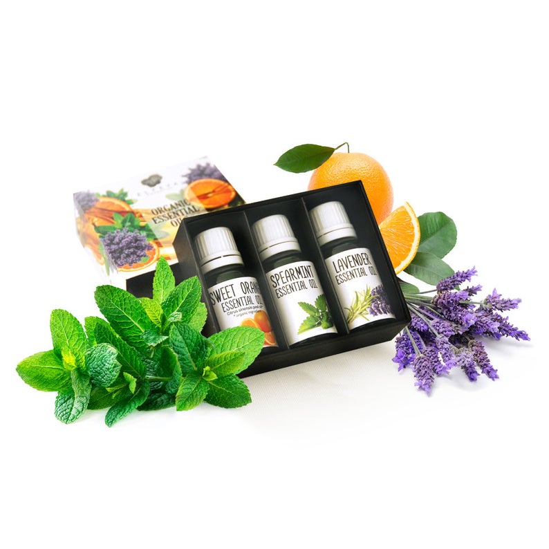 Conjunto de óleos essenciais com hortelã, lavanda e laranja