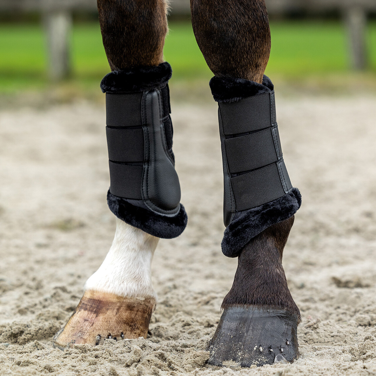 Caneleiras QHP Livora Botas protetoras pretas com pelo sintético para cavalos em pernas traseiras