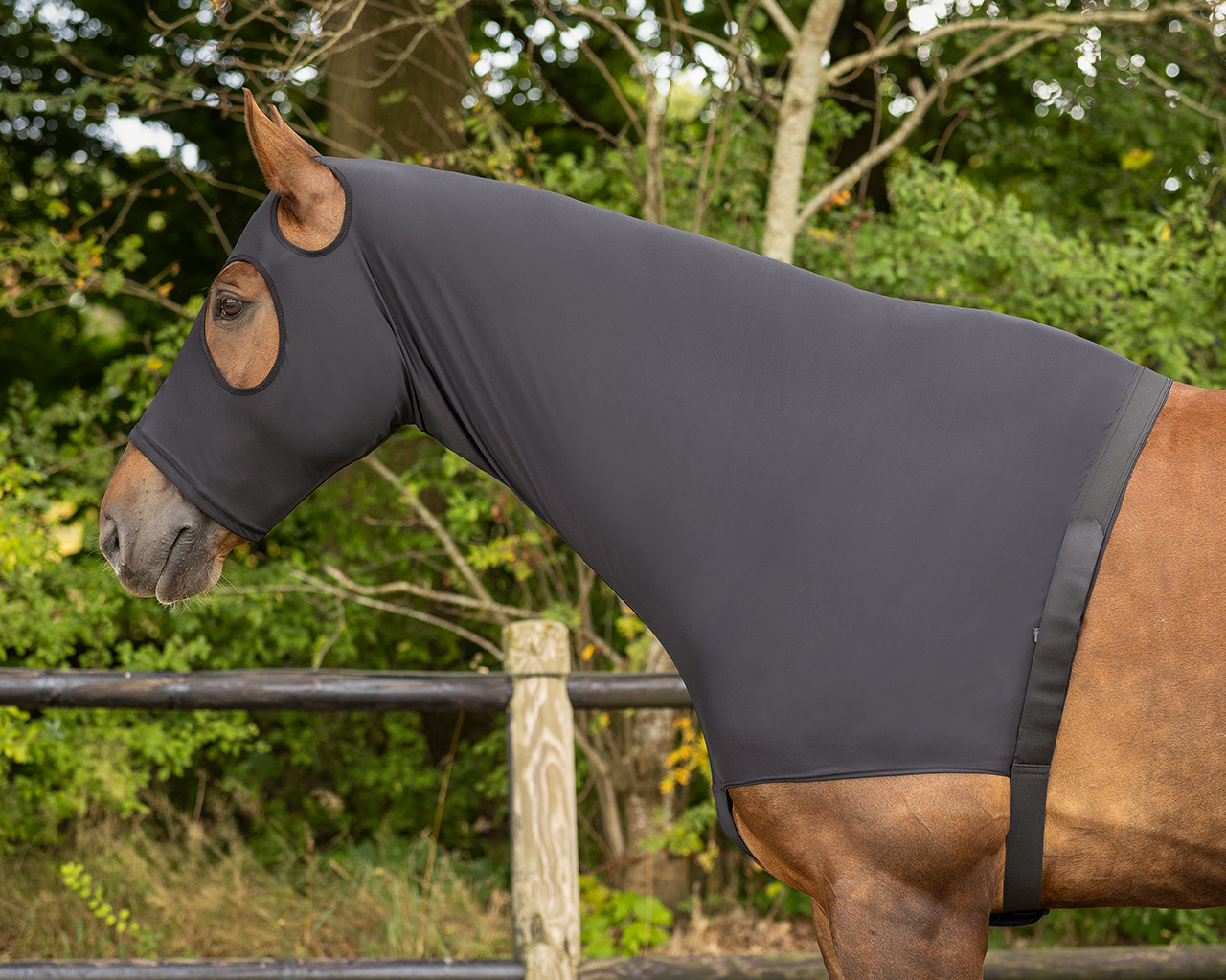 Protetor de Pescoço Elástico QHP Cavalo com capa elástica preta cobrindo a cabeça e pescoço ao ar livre
