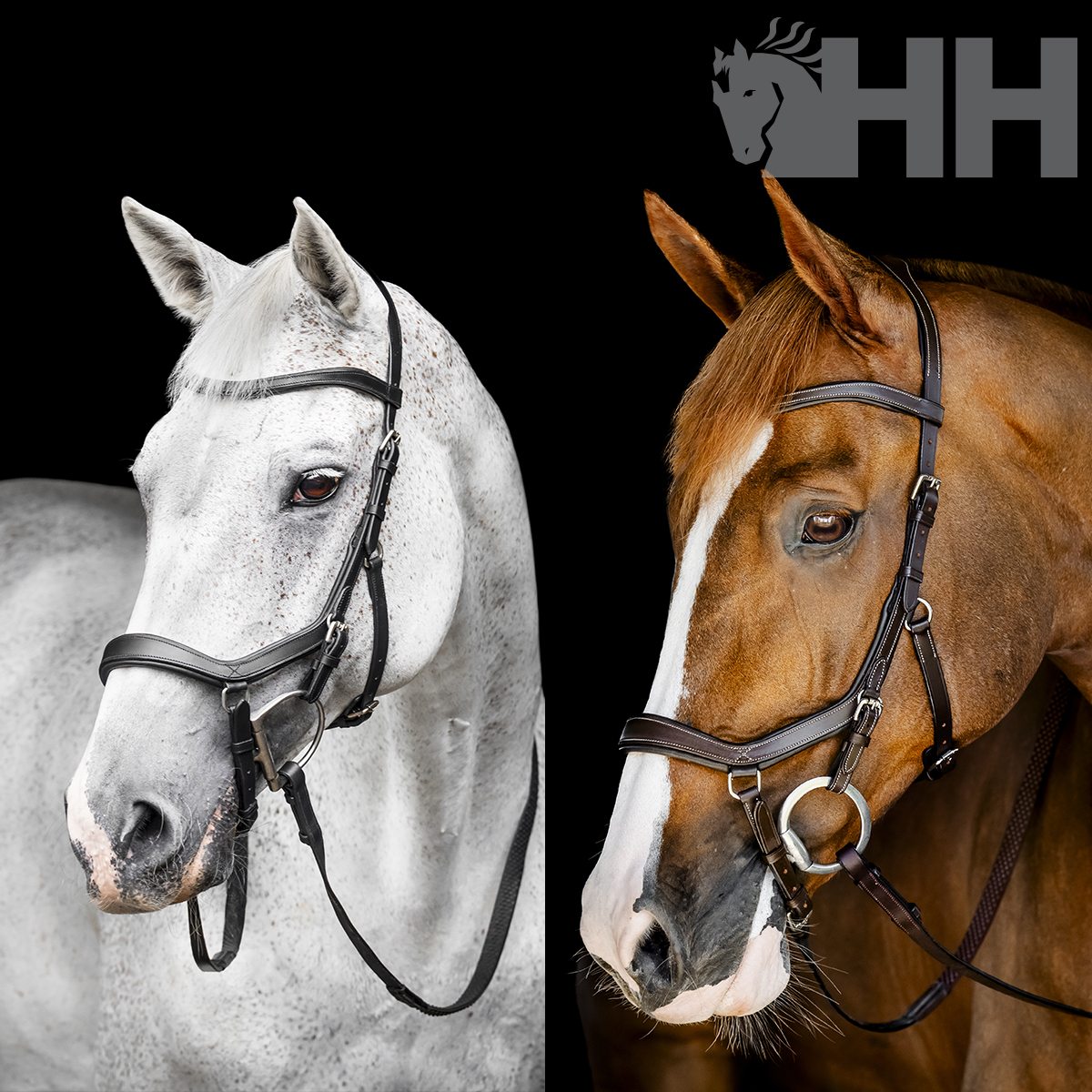 Cabeçada de Bridão HORSEWARE Micklem Competition Dois cavalos com cabrestos de couro, fundo preto e logotipo HH cinzento.